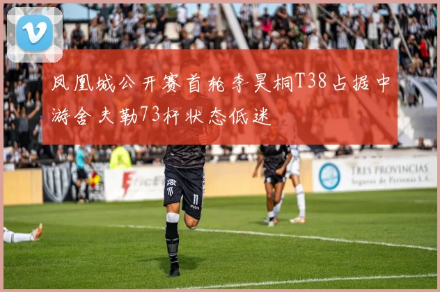 凤凰城公开赛首轮李昊桐T38占据中游舍夫勒73杆状态低迷