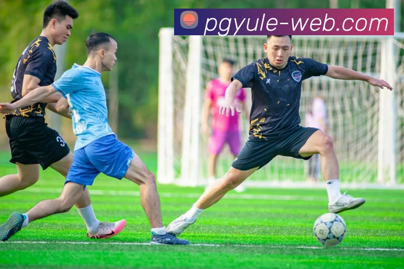 多媒体互动体验